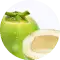 Organic Coconut Water Powder