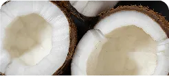 ORGANIC COCONUT WATER POWDER